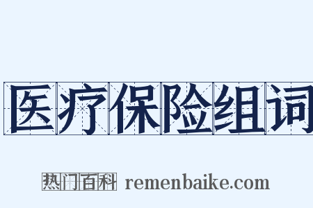 医疗保险组词是什么意思的图片